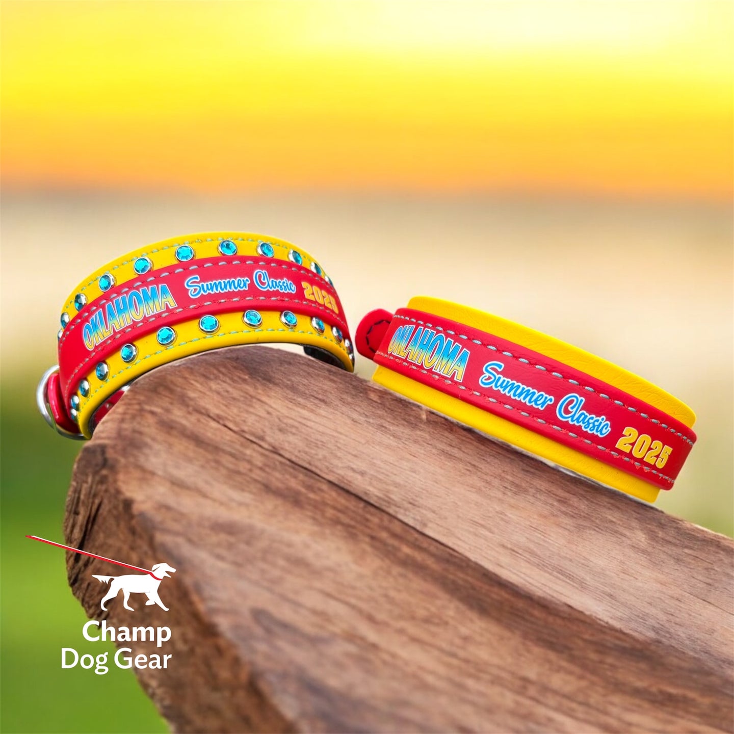 B. 1 1/2" OKC Collar - 2025 BioThane® Collar